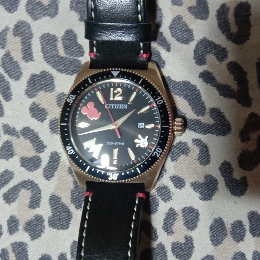 Citizen Eco-Drive Black and Gold Watch